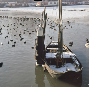 22131 Afbeelding van de vissersboot van de Utrechtse rivervisser P. Arbeider, afgemeerd aan een dukdalf in het ...